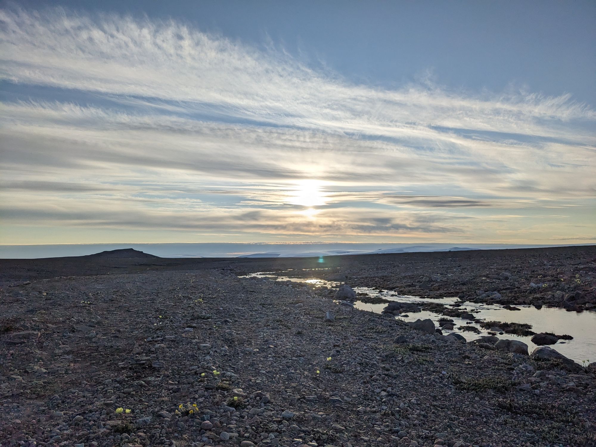 Sunny Green-Greenland