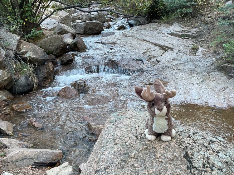Floki's trip to Colorado Springs