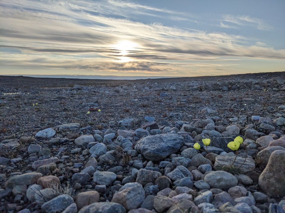 Sunny Green-Greenland